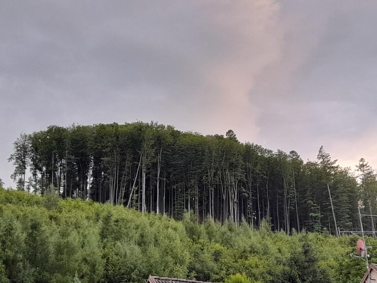 Pohoda Salas U Velehradu-2 Apartmany Uherské Hradiště المظهر الخارجي الصورة